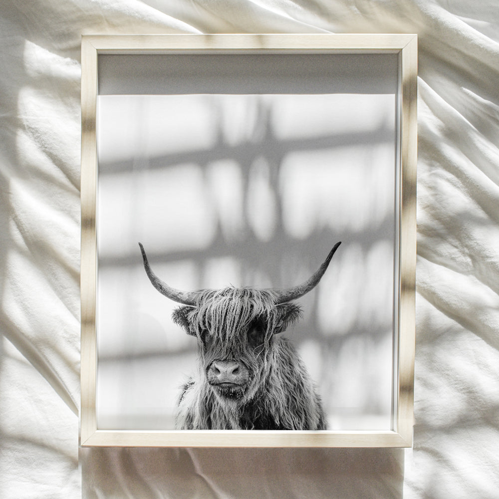 Highland Cow Wall Art - Cow Wall Decor for Home, Kitchen, Bathroom, Bedroom, Living Room - Cow Decorations - 8x10 Pink Photo Print - Country Decor or Farmhouse Gift