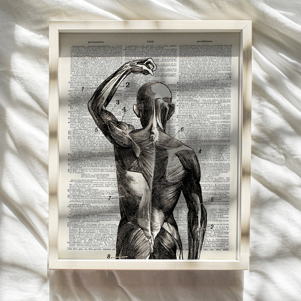 Human Anatomy Muscles Wall Art - Hospital, Medical, Doctor Office Decor - Gift for Acupuncture, Massage Therapy or Chiropractic Dr, Nurse Practitioner, Physical Therapist, Med Student - Gothic Decor