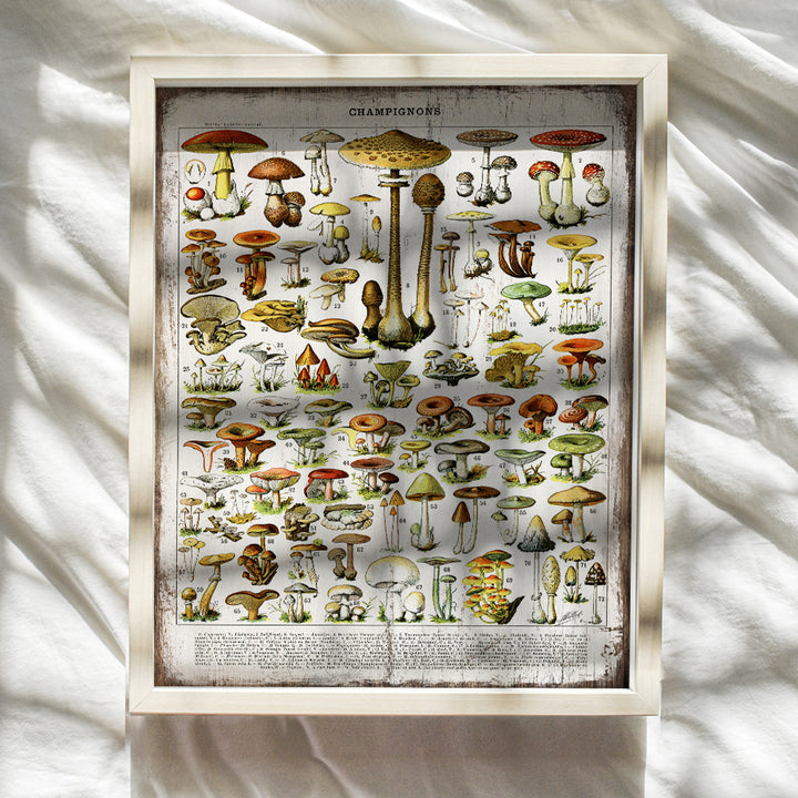 Dining Room, Kitchen Decor - Rustic Vintage Botanical Mushrooms Chart - Larousse Gastronomique Sign Photo Wall Art for Cafe, Restaurant - Unique Housewarming Gift -8x10 Boho Farmhouse Style