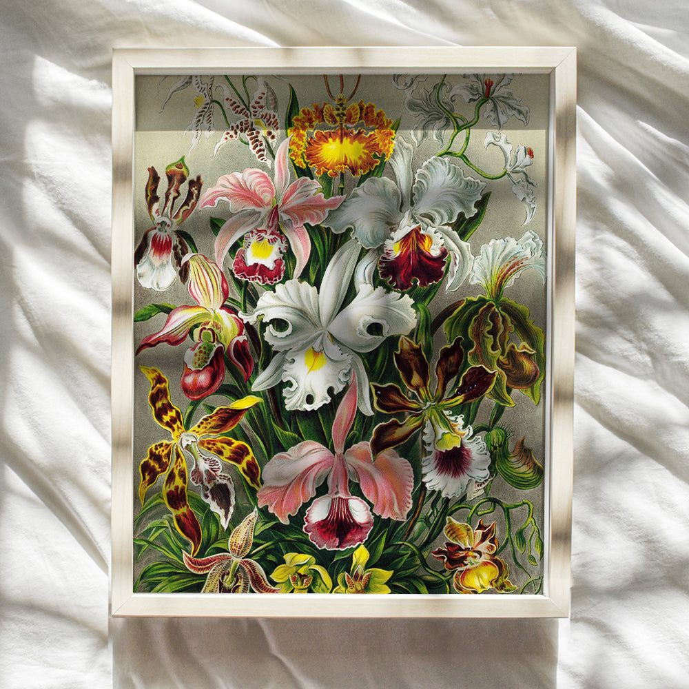 Vintage Orchid 8x10 Wall Decor Poster Picture - Shabby Chic Art Decoration Print for Home, Apartment, Office, Living Room, Bedroom, Bathroom - Gift for Women, Woman, Wife - Haeckel Flowers