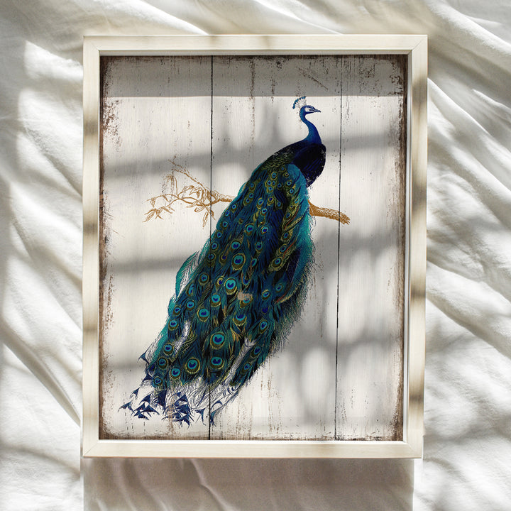 Peacock Wall Decor - Vintage Farmhouse Art - Rustic Boho Decoration Picture for Living Room, Bedroom, Bathroom, Home, Apartment - Original Shabby Chic Gift for Women, Nature Fan - 8x10 UNFRAMED Print