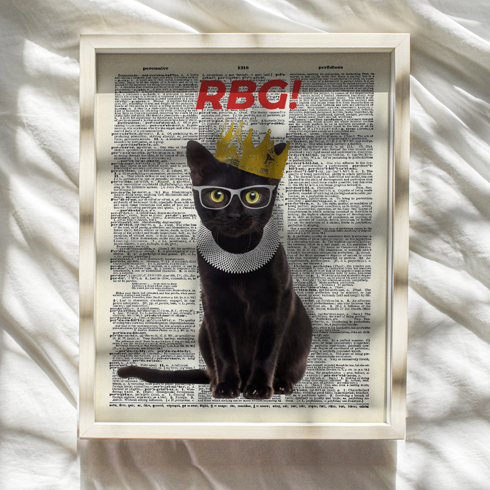 Ruth Bader Ginsburg Cat Wall Art Print - Funny RBG Cat Wall Decor - Upcycled Dictionary Art Picture - Vintage Photo - Great Unique Home Decor or Gift For Lawyers, Attorneys