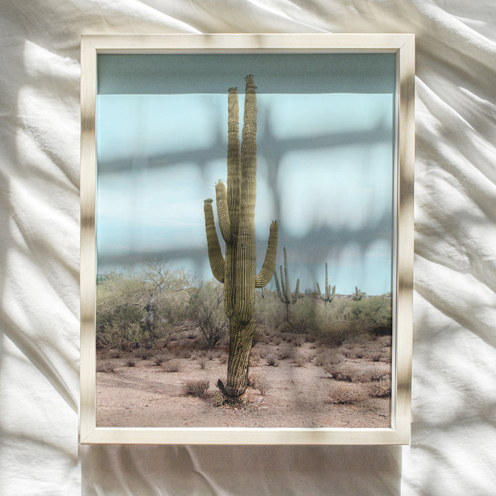 Saguaro Cactus, Desert Wall Art Decor - 8x10 Travel Poster for Bedroom, Living Room, Office, Bathroom - Gift for California, Arizona, Utah, New Mexico Nature Fan - UNFRAMED Picture Photo Photograph