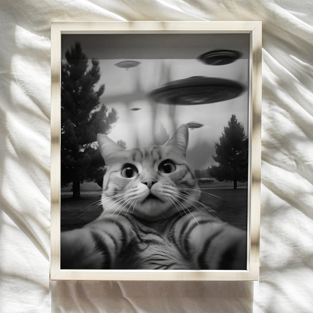 funny Cat Wall Art & Decor - Cat Themed Wall Decor - funny Wall Art for Teen Boy, Boys Bedroom Decor -Cat Pictures - Cat Gifts for Men - Cat Themed College Dorm Room Decor Poster - UFO Wall Decor