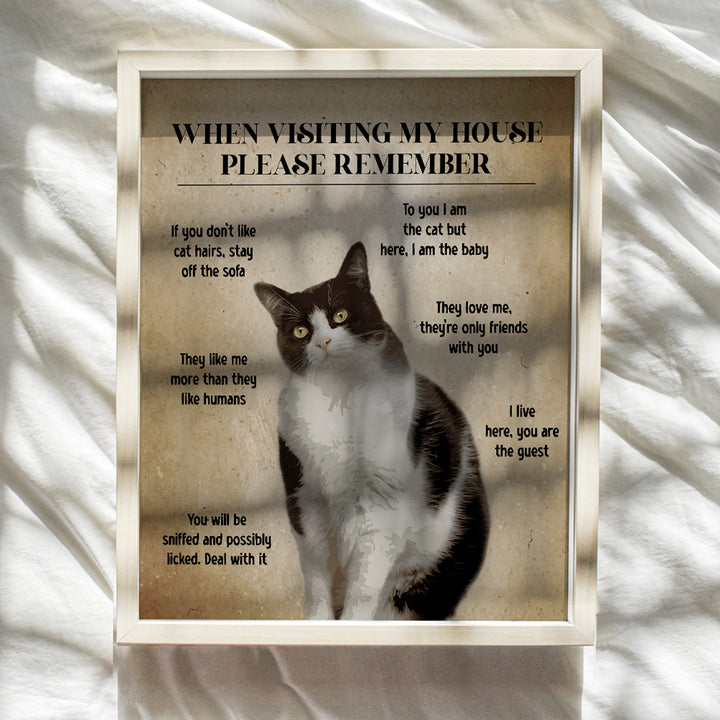 Cat Wall Art funny Sayings - Cat House Decor, Cat Stuff - Farmhouse Living room Cute Cat Decorations - Cat Themed Gifts for Women, Cat Lady - Cat Mom funny Quotes Wall Decor - small Apartment Cat Sign