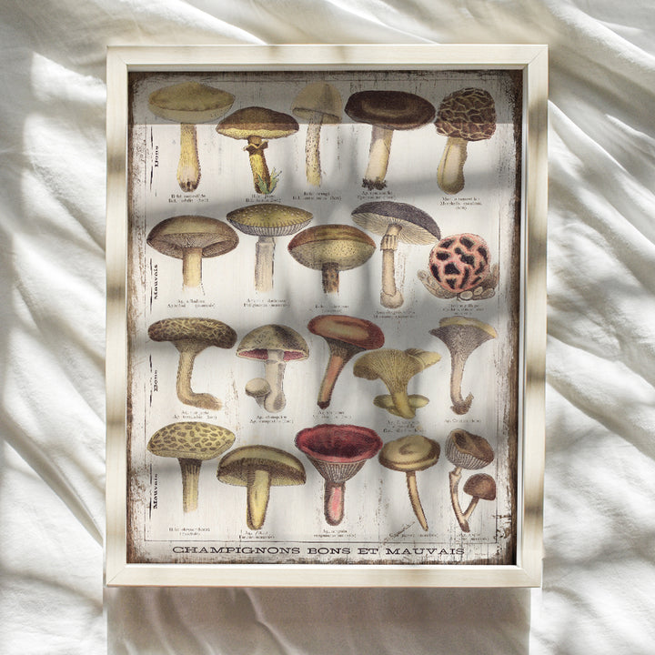 Vintage Rustic Mushroom Poster - 8x10 Larousse Gastronomique Mushroom Wall Decor for Cafe, Restaurant - Kitchen Wall Art - Unique Chef Gifts - Boho Country Farmhouse Decor