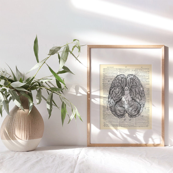 Upcycled Dictionary Wall Art Print - 8x10 Vintage Unframed Photo - Cool Home Decor and Easy Gift Giving for Doctors and Nurses - Anatomy Brain