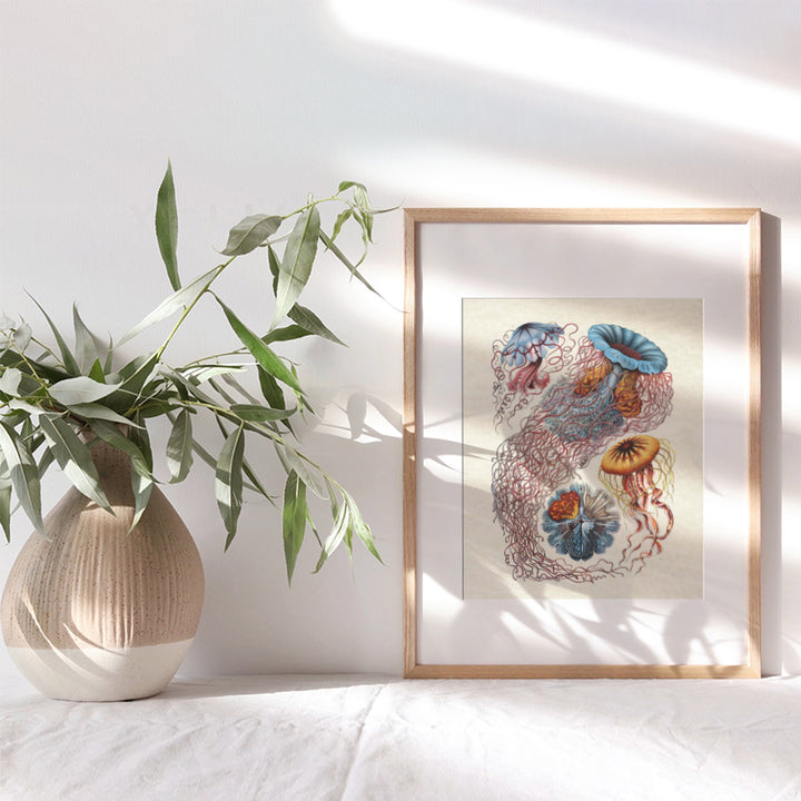 Jellyfish Wall Art Print - Ready to Frame (8X10) Vintage Photo - Perfect Gift for Marine Enthusiasts - Great For Bathroom, Beach House, Lake House and Home Decor