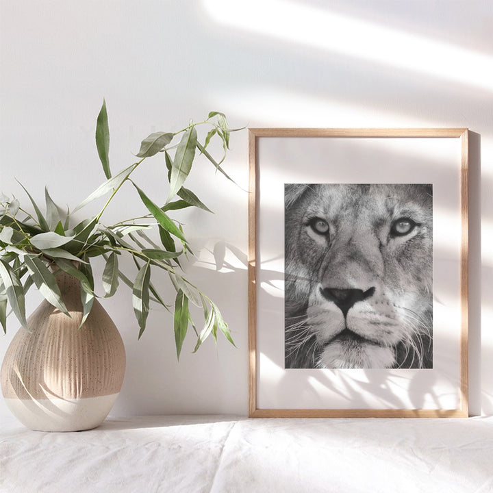 Lion Wall Art Decor - Big Cat Lion Head Picture Photo for Living Room, Bedroom, Home, Office, Kitchen, Dining Room, Apartment - Unique Gift for Jungle Animals Fans - 8x10 Poster Print - UNFRAMED