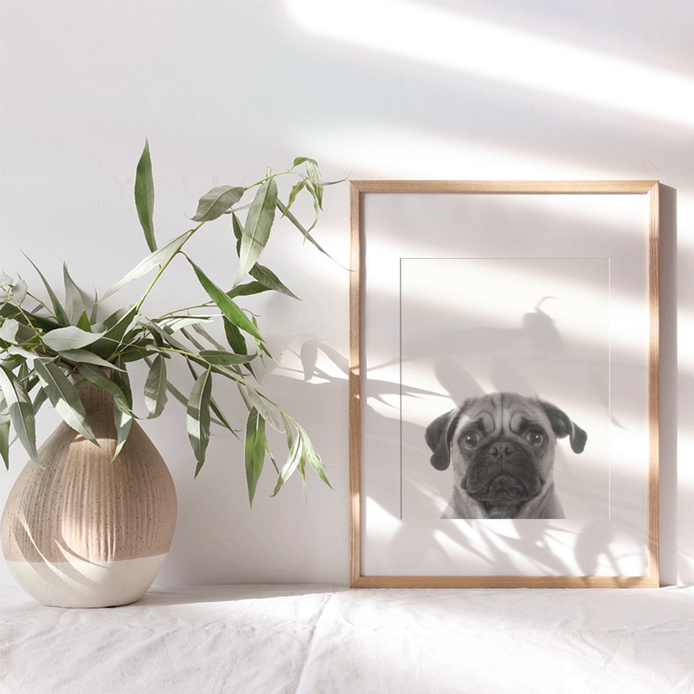 Pug Face Contemporary Wall Art Decor, 8x10 Photo Print - Funny Modern Art for Bedroom, Living Room, Home, Apartment - Gift for Dog, Puppy, Pet, Canine Lovers - Unframed Poster Picture