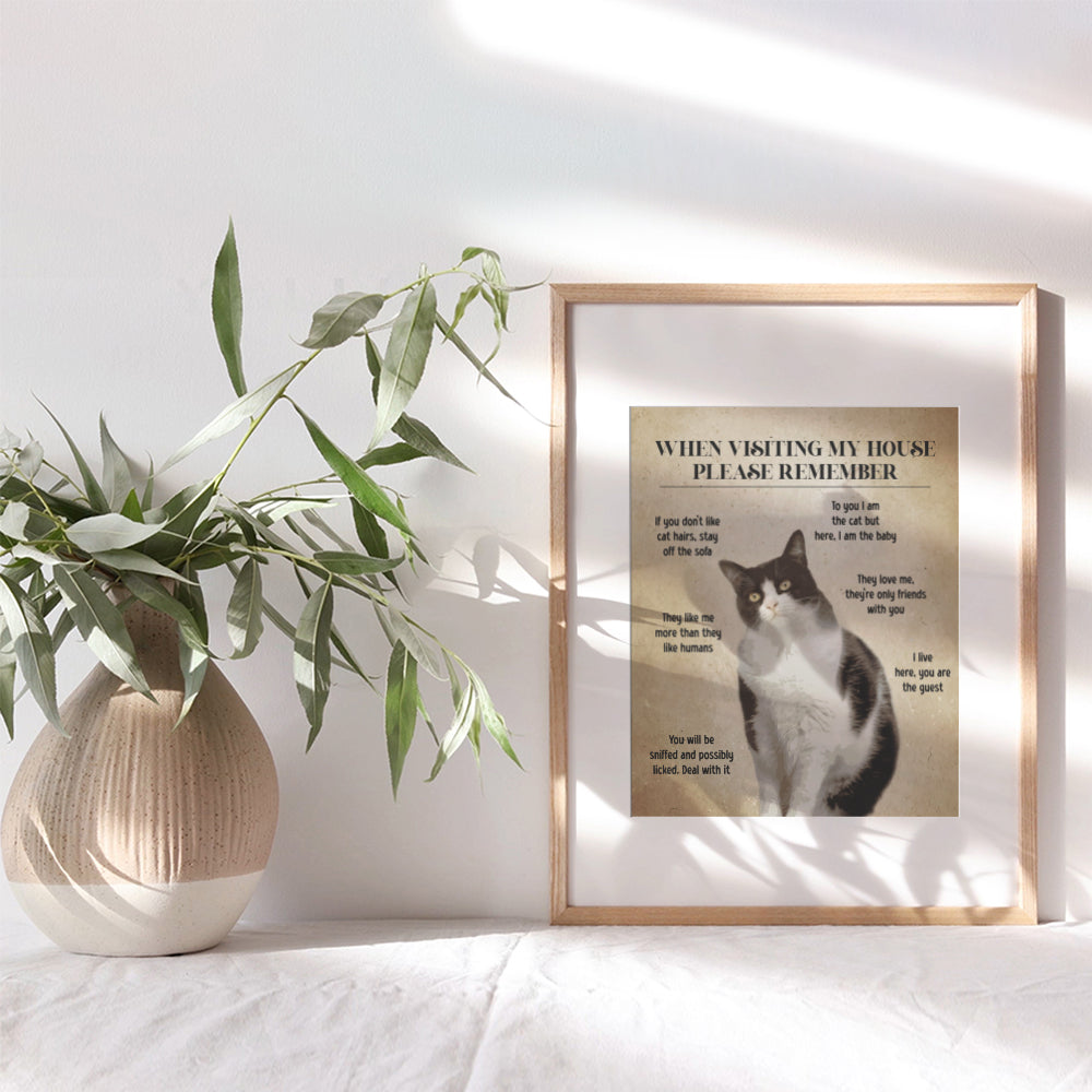 Cat Wall Art funny Sayings - Cat House Decor, Cat Stuff - Farmhouse Living room Cute Cat Decorations - Cat Themed Gifts for Women, Cat Lady - Cat Mom funny Quotes Wall Decor - small Apartment Cat Sign