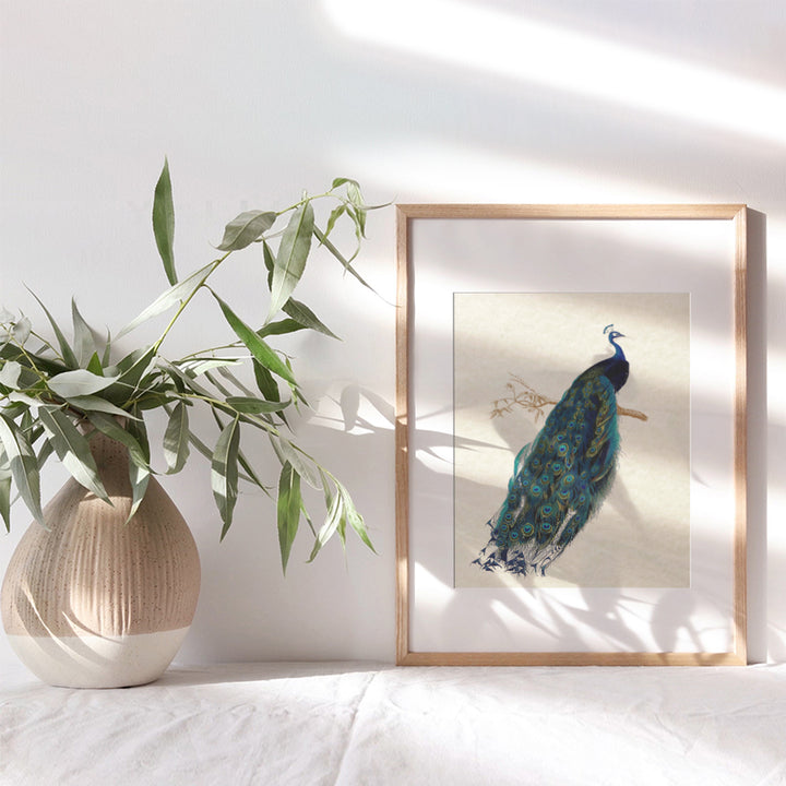 Peacock Wall Art Decor - Rustic Vintage Farmhouse Boho Decoration for Living Room, Bedroom, Bathroom, Home, Apartment - Gift for Women, Nature Fan - Famous Audubon Picture - 8x10 Poster Print