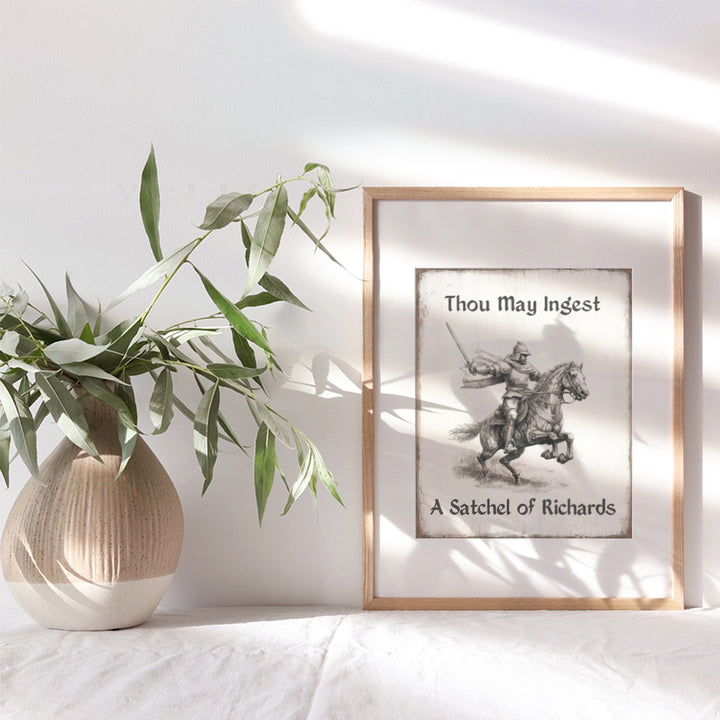 Funny Wall Decor Medieval Art - Sarcastic Funny Gifts - Knight Home Decor - Funny Sayings - Office Wall Decor - Dorm Room Decor - Vintage Art - Teen Boys Room Decor for Men - Man cave Sign - Gag Gifts