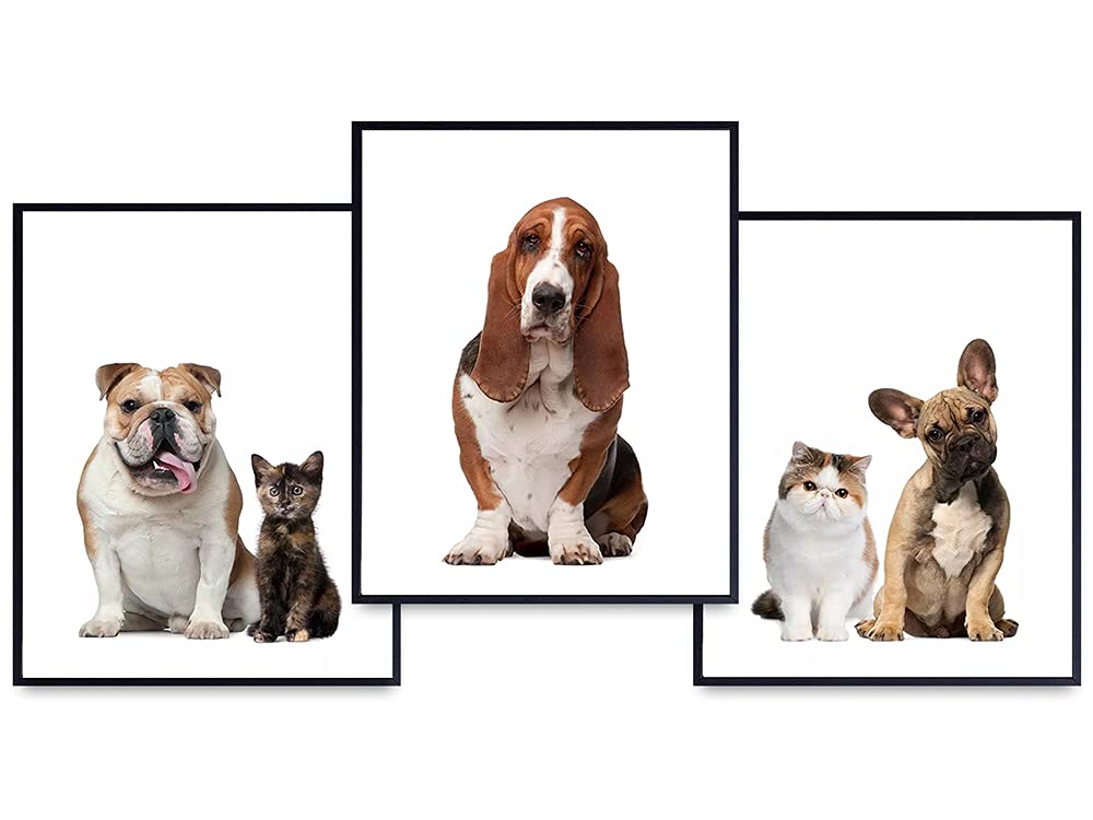 Dog and Cat Art Prints Set - Home Decor Wall Art Posters - Room Decorations for Veterinarian, Vet Office - Great Gift For Animal and Pet Lovers - 8x10 Photos Unframed