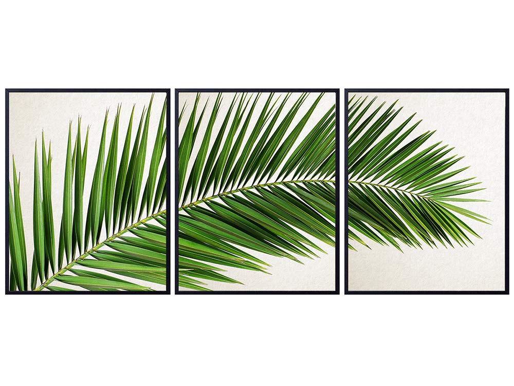 Botanical Palm Leaves Wall Art - Tropical Plants Pictures - Palm Tree Decor, Minimalist Home Decor Artwork Set - Botanical Wall Decor - Unique Gift - Room Decoration, Office Wall Decor - 3-8x10