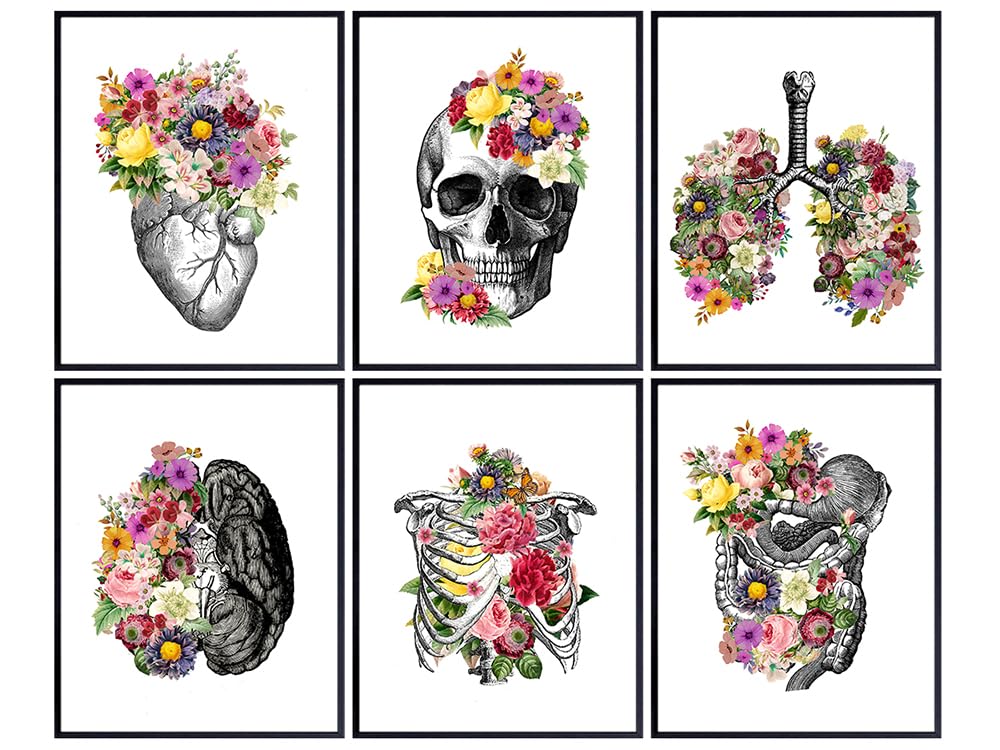 Retro Wall Decor - Vintage Style 11x14 - Vintage Posters of Human anatomy - Physician Assistant Gifts for Hospital, Clinic - Vintage Retro Style Wall Art for Med Students - Photos for Nurse - Unframed