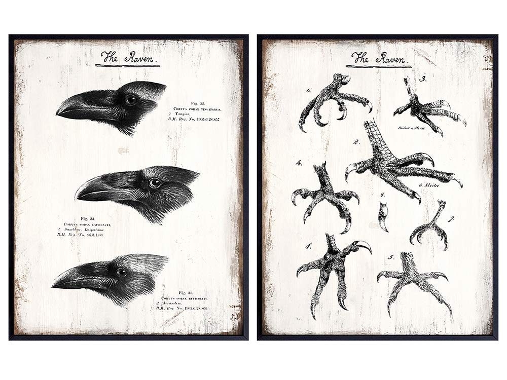 The Raven - Sign Plaque Posters - Gothic Crows - Edgar Allan Poe Gift - Vintage Rustic Goth Wall Art Decor - Poem Set for Home, Bathroom, Living Room, Office, Bedroom - Cool Hipster 8x10 - Unframed