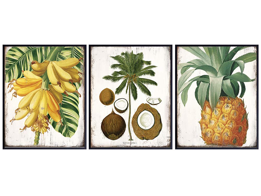 Vintage Rustic Tropical Wall Decor Poster Set -8x10 Hawaiian Coconut, Pineapple, Bananas Decorations - Art for Kitchen, Dining Room, Living Room, Beach House - UNFRAMED Sign Plaque Replica