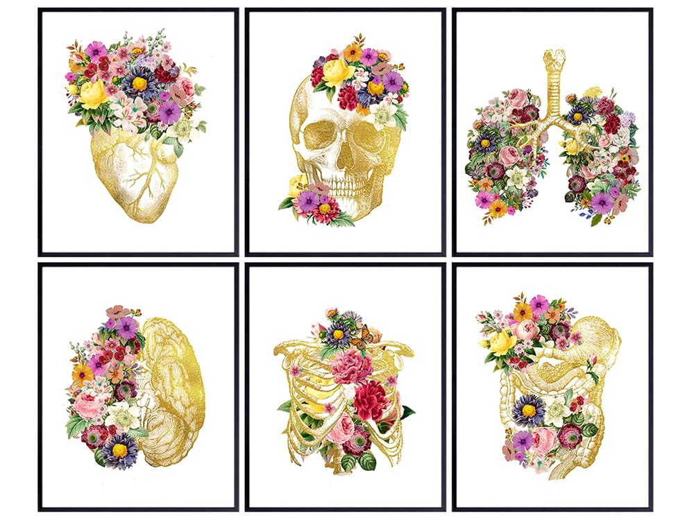 Shabby chic Human Anatomy Posters 11x14 - Graduation Gift - Nurse Practitioner, Physician Assistant, RN, Medical Student, Doctor - Gold White Gothic Wall Decor - Vintage Trendy Room Decor, Skull Heart