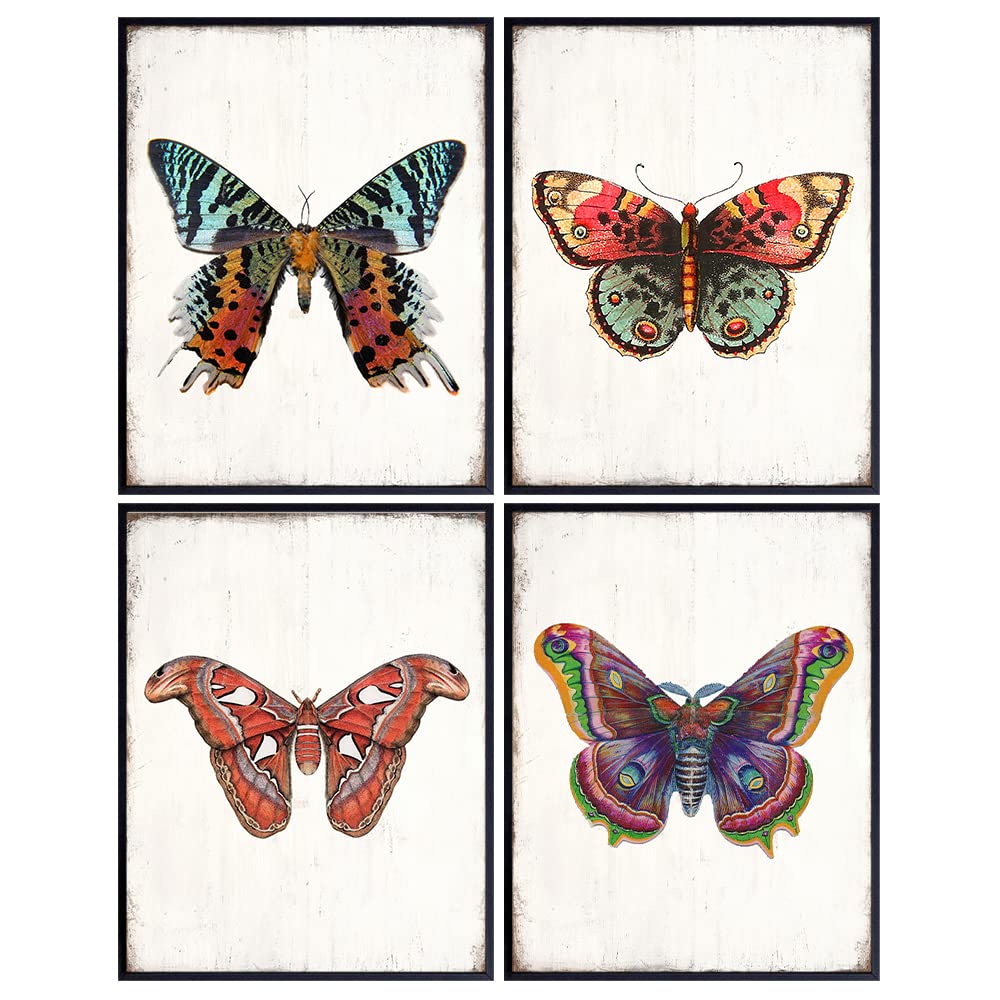 Vintage Butterfly Wall Art &amp; Decor - Boho Shabby Chic Wall Decor - Bedroom Decor for Women - Rustic Living Room, Girls Bedroom, Home Office, Baby Nursery, Wall Art Set -8x10 Unframed Posters Pictures