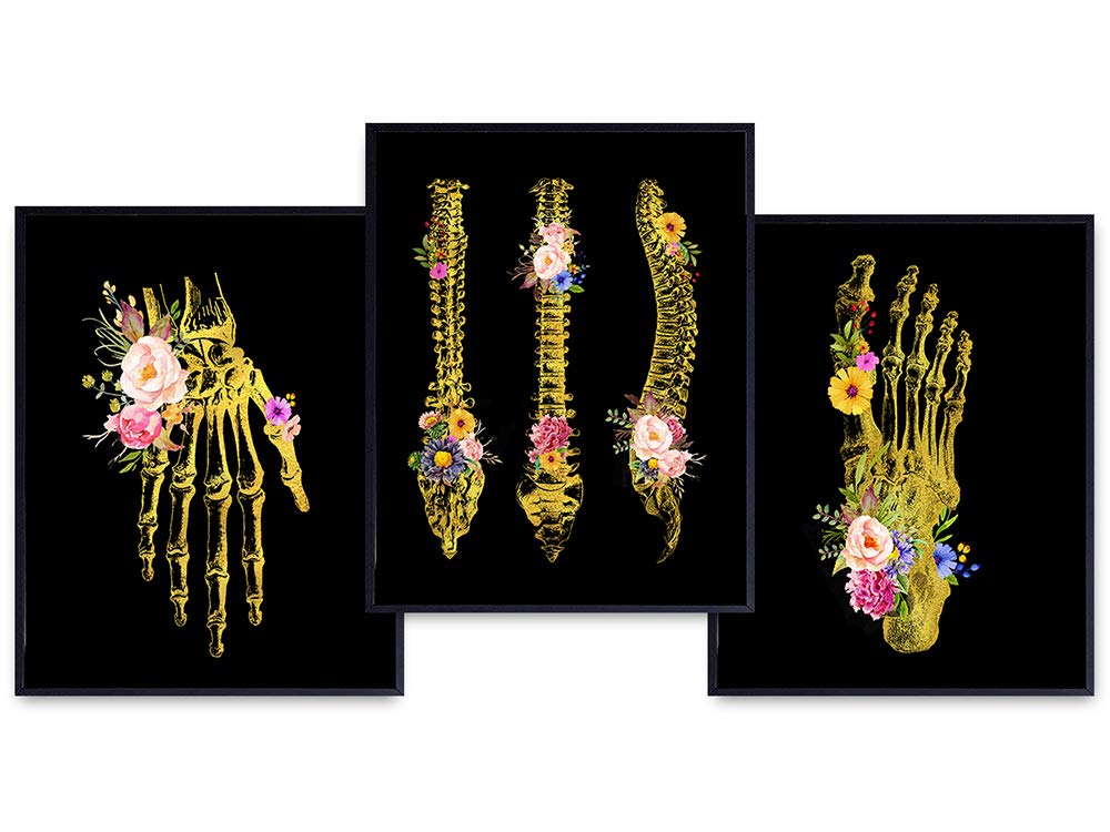 Hand, Foot, Spine Medical Anatomy Wall Art Print - Unique Flower Skeleton - Original Gothic Home Decor for Dr Office - Gift for Doctor, Physician, Nurse, PA -8x10 Orthopedic Gold Black Poster Set
