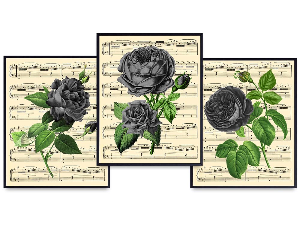 Black Roses Gothic Home Decor - Goth Room Decor - Victorian Wall Decor - Shabby Chic Wall Art - Retro Vintage Sheet Music - Posters Pictures Prints - Gothic Housewarming Gifts for Women- UNFRAMED