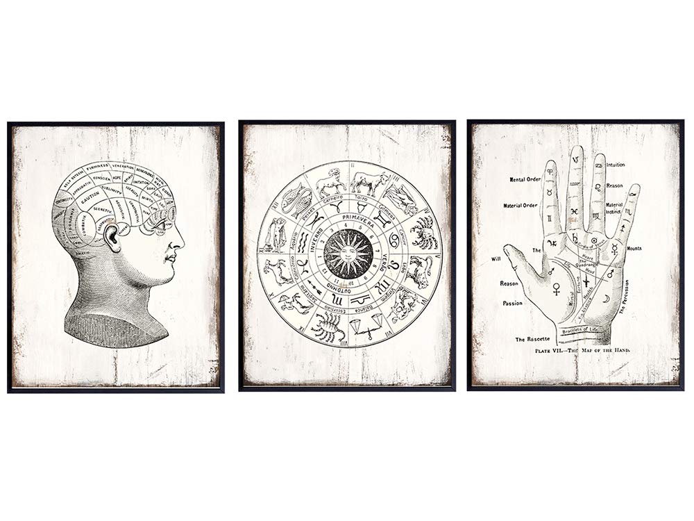 Occult Wall Art Set -8x10 Vintage Boho Rustic Home Decor, Decoration - Unique Mystical Shabby Chic Gift for Astrology, Zodiac Sign, Palm Reading, Palmistry, Phrenology, Tarot, Psychic, Fortune Teller