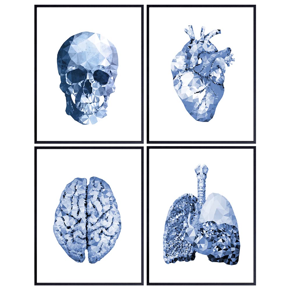 Human Anatomy Room Decor Set - Modern Blue White Abstract Wall Art Home Decorations for Medical Office - Gift for Doctor, Nurse, Physicians Assistant, RN - Heart, Skull, Lungs, Brain Posters
