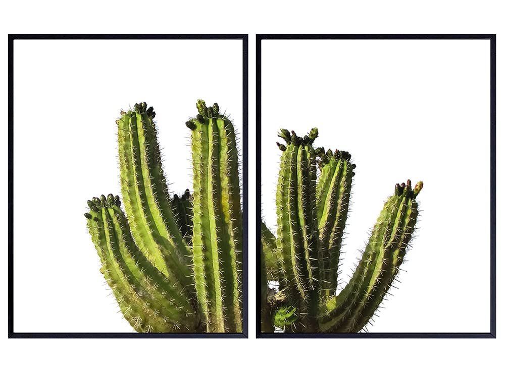 Saguaro Cactus Wall Art, Photo Set - Unique 8x10 Desert Posters for Living Room, Bedroom, Arizona, Utah, Nevada Home, Office, Apartment - Wall Decor Gift for Nature Lover - Unframed Picture Prints