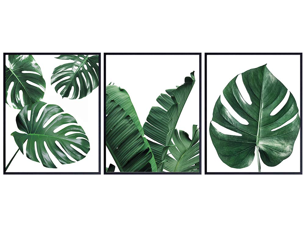 Botanical Prints Wall Art - Tropical Plants Pictures - Palm Frond, Banana Leaf, Monstera - Minimalist Home Decor Artwork Set - Botanical Wall Decor - Unique Gift - Room Decoration, Office Wall Decor