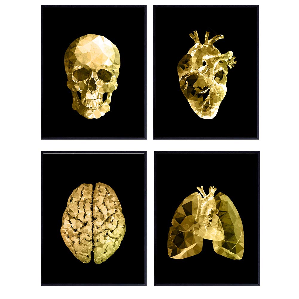Abstract Human Anatomy Wall Art Poster Set- Gift for Doctor, Nurse, Physicians Assistant, RN - Modern Black and Gold Room Decor Home Decorations Set for Medical Office - Heart, Skull, Lungs, Brain