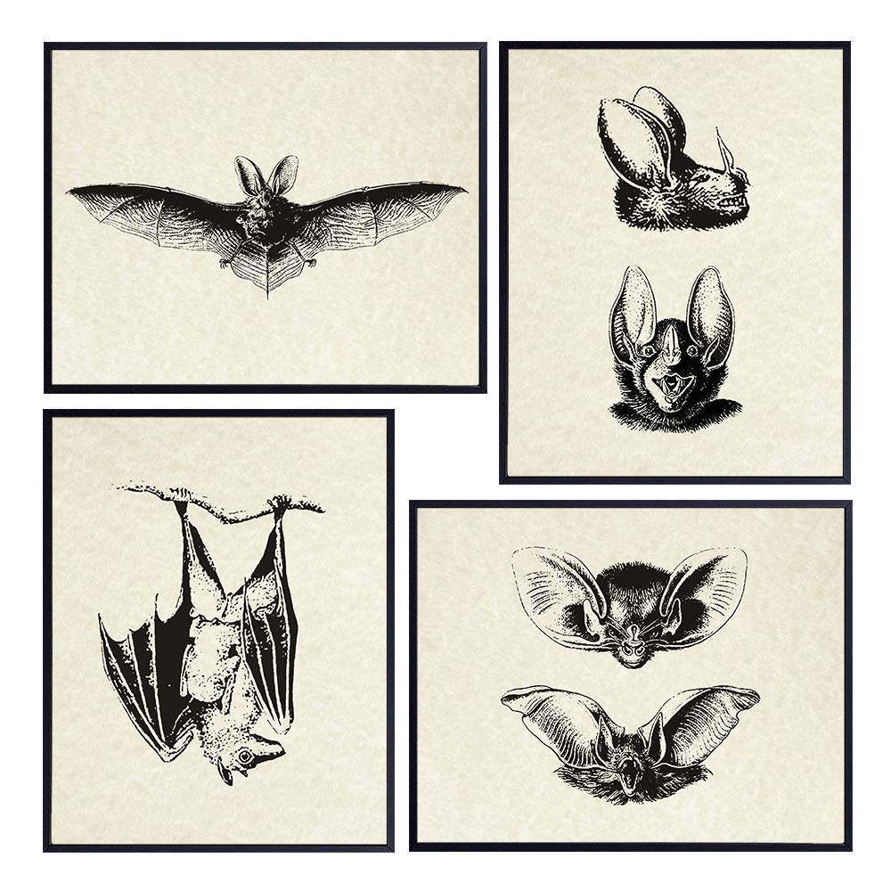 Gothic Bats Wall Decor Pictures - Rustic Vintage Photos - Retro Antique Style Decoration Poster Prints for Home, Apartment, Office, Living Room, Bathroom, Bedroom - Gift for Steampunk, Goth Fans