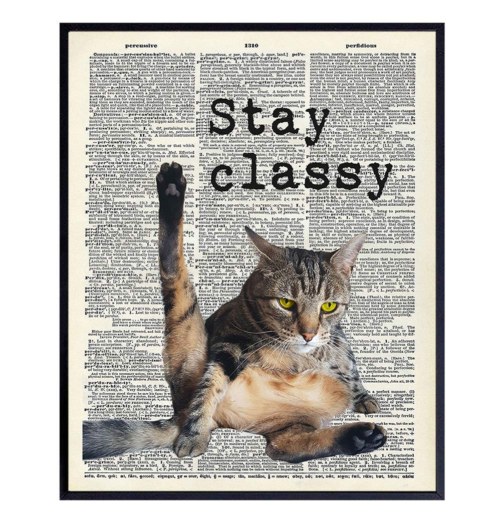 Cat Wall Decor - Cat Wall Art Print - 8x10 Poster Picture, Home or Apartment Photo Decoration - Funny Gift for Cat Lovers, Animal Lovers, Pet Owners, Kitty or Kitten Fans - Unframed