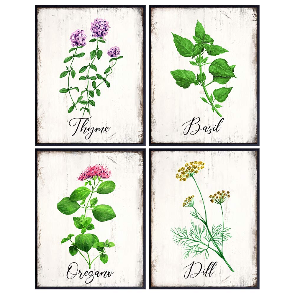 Kitchen Decor - Dining Room Decor - Herb Wall Decor - Botanical Wall Decor - Larousse Gastronomique Wall Art for Cafe, Restaurant - Cooking, Chefs Gifts for Women - Rustic Sign Art Prints Photos