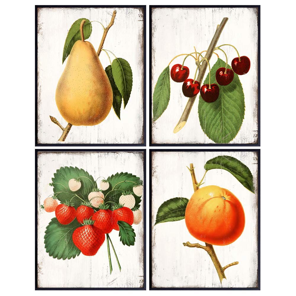Fruit Wall Art - Fruit Decor - Fruit Decorations - Botanical Prints - Rustic Kitchen Decor - Dining Room Decor - Cafe Wall Decor - Restaurant Decor - Cooking Gifts - Chef Gifts for Women - Unframed