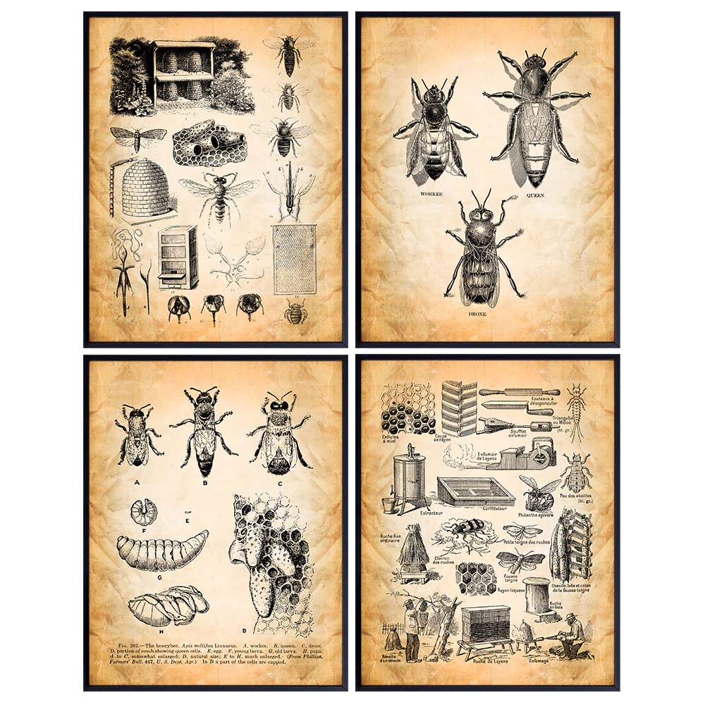 Bees, Beekeeping Patent Print Wall Art Set - Kitchen Decor - Dining Room Decor - Retro Home Decoration for Cafe, Restaurant - Unique Gift for Beekeepers - Rustic Vintage Boho 8x10 Pictures -UNFRAMED
