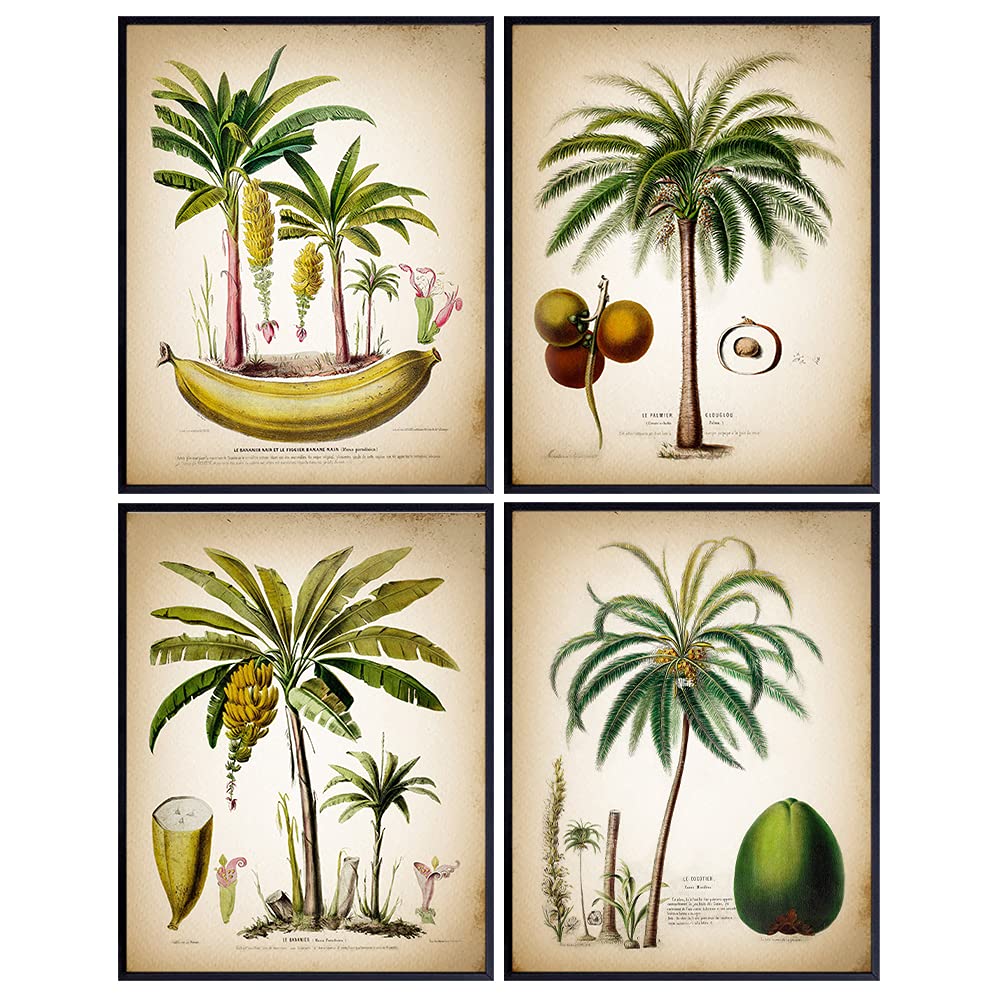 Palm Tree Decor - Hawaiian Wall Decor - Tropical Wall Decor - Beach House Wall Decor for Kitchen, Dining Room, Living Room - Vintage Rustic Boho Wall Collage - Home Decoration or Gift for Women, Men