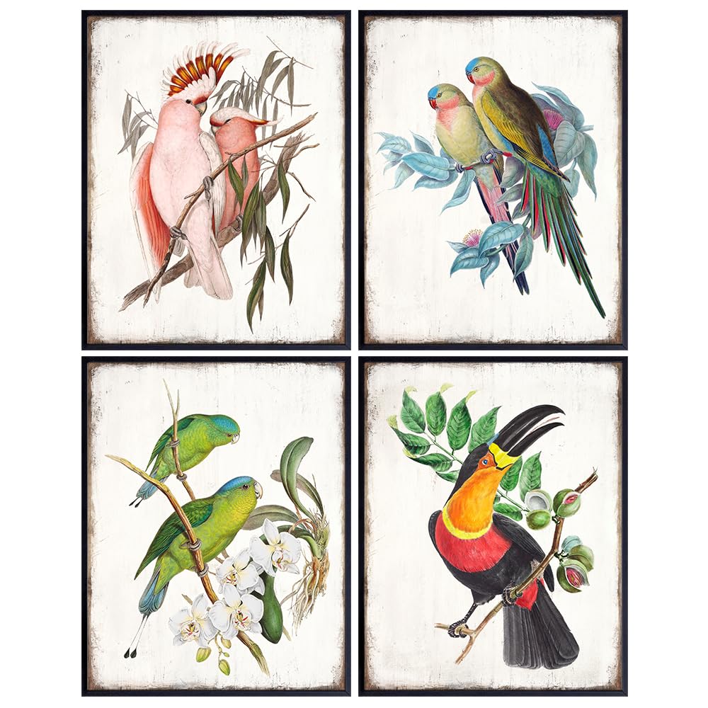 Tropical Bird Art 11x14 - Exotic Parrot, Lovebird, Toucan, Cockatoo Wall Decor - Vintage Audubon Birdwatcher Gifts - Parakeet Wall Art - Tropical Wall Decorations - Bird Wall Decor - Bird Wall Art