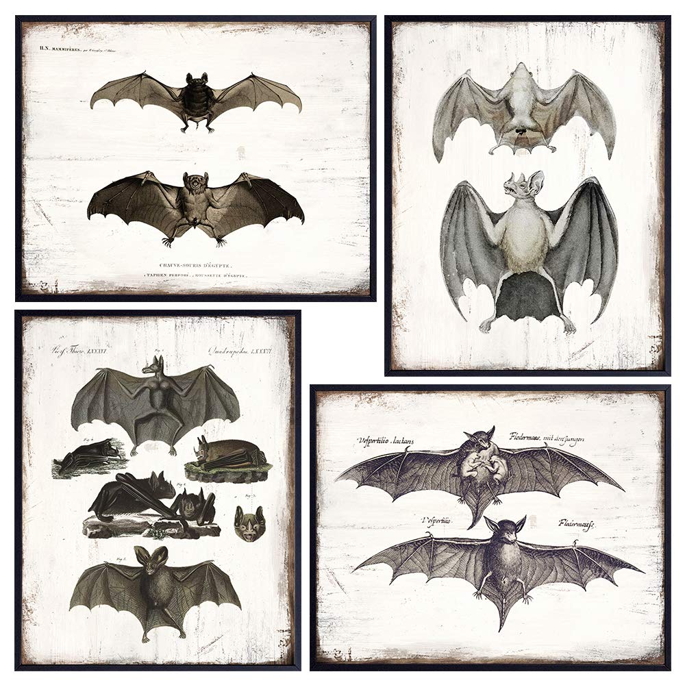 Haeckel Vampire Bats Wall Decor Set - Gothic Gifts - Goth Wall Art - Vintage Rustic Antique Style Room Decoration for Home, Apartment, Office, Living Room, Bedroom - 8x10 Retro Picture Poster Prints