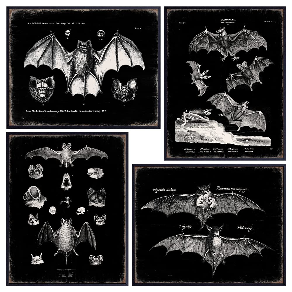Black Bats Gothic Wall Decor - Vintage Retro Wall Art &amp; Decor - Room or Home Decor - Hipster decoration - Horror Vampire bat Gift - Creepy Scary Anatomical Picture Poster print Set 8x10 UNFRAMED