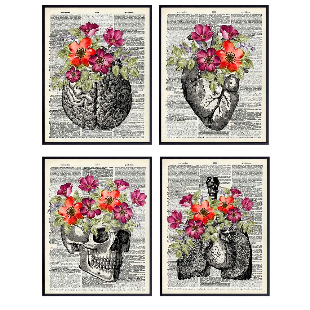 Human Anatomy Wall Art Room Decorations Set - Medical Office Decor - Gift for for Doctor, Nurse, Physicians Assistant, RN - Heart, Skull, Brain, Lungs, Kidney, Liver, Poster Picture Prints