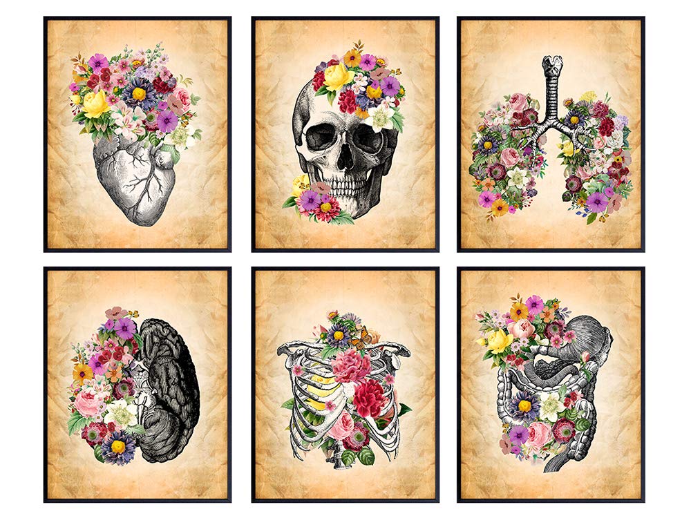Medical Art Set - Retro Vintage Anatomical Wall Decor for Home, Doctors Office, Clinic, Med Student Dorm Room - Gift for Nurses, Physicians Assistant, PA - Floral Anatomy Shabby Chic Posters