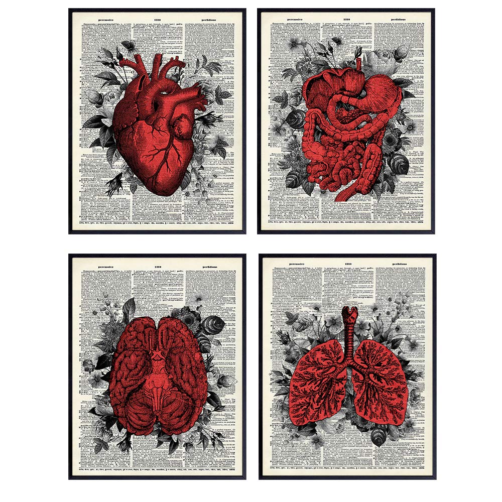 Floral Organs Set - Dictionary Art, Shabby Chic Wall Decor - 8x10 Photo Pictures - Cool Gift for Dr, Doctor, Nurse, Physician, Med Student - Home or Office Decor for Medical Clinic - Unframed Print