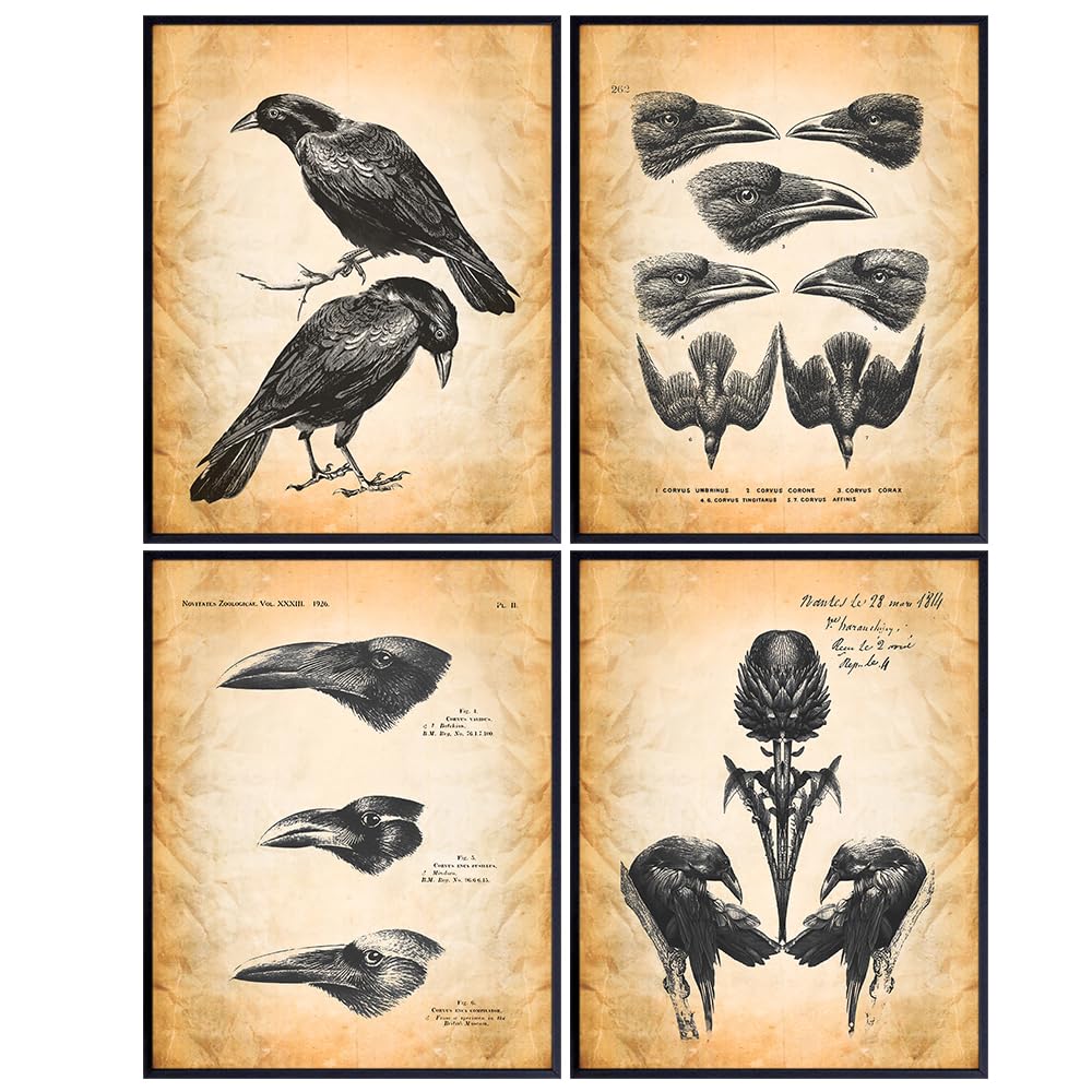 The Raven Gothic Wall Decor 11x14 - Edgar Allan Poe Wall Art - Vintage Rustic Crow Wall Decor - Living Room, Office, Bedroom - Creepy Horror Halloween Decor - Audubon Birds Prints - Goth Room Decor