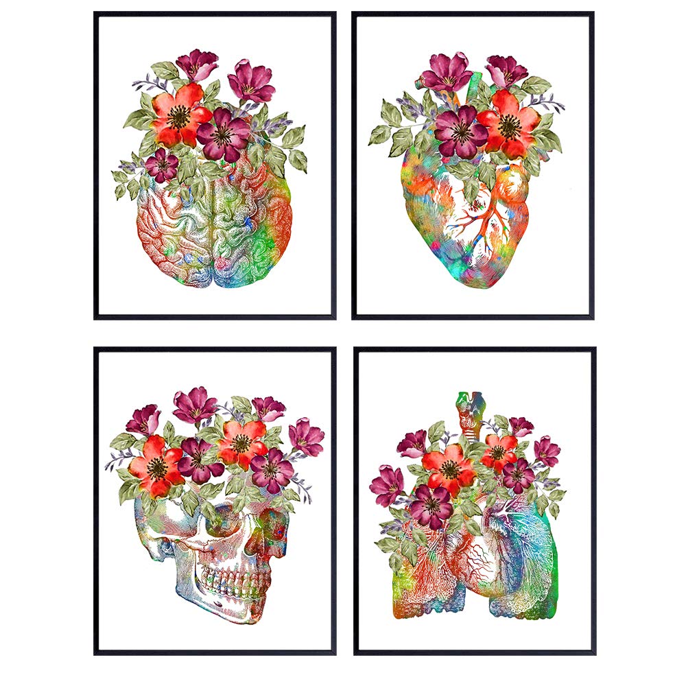 Human Anatomy, Skull, Heart, Brain, Lungs Wall Art - Medical Office Decor - Gift for for Doctor, Nurse, Physicians Assistant, RN - Floral Poster Picture Print Set