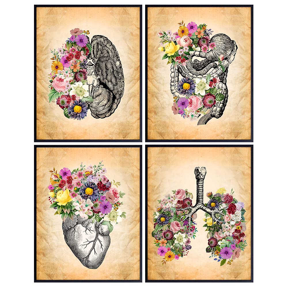 Vintage Human Anatomy - Boho Flower Wall Decor, Home Art Decoration or Gift for Women, Nurse Practitioner, Doctor, RN, Medical Office, Bedroom, Living Room - Shabby Chic Heart, Lungs, Brain Set