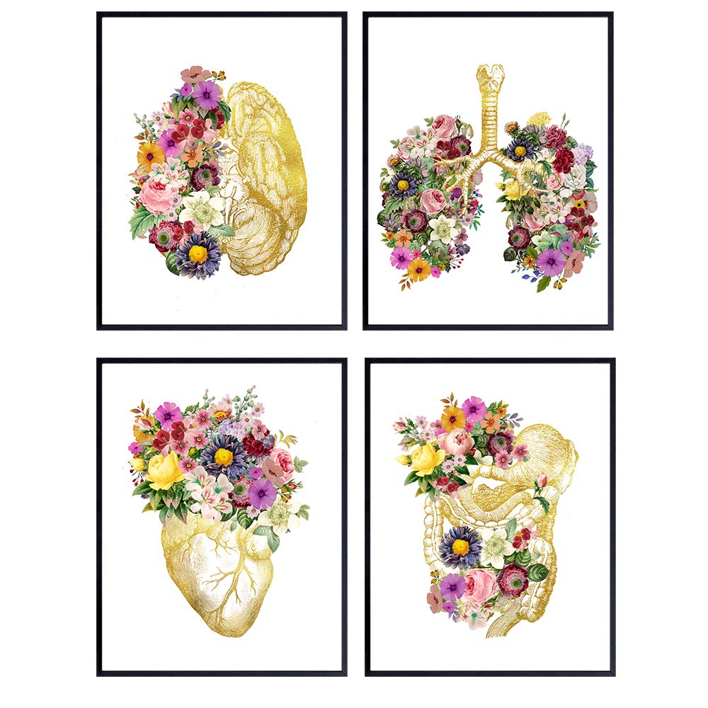 Vintage Floral Anatomy Poster Set -Shabby Chic Gift for Nurse Practitioner, Physicians Assistant, RN, Doctor, Med Student - Gothic Decor, Wall Art, Decoration for Medical Office - UNFRAMED 8X10 Prints