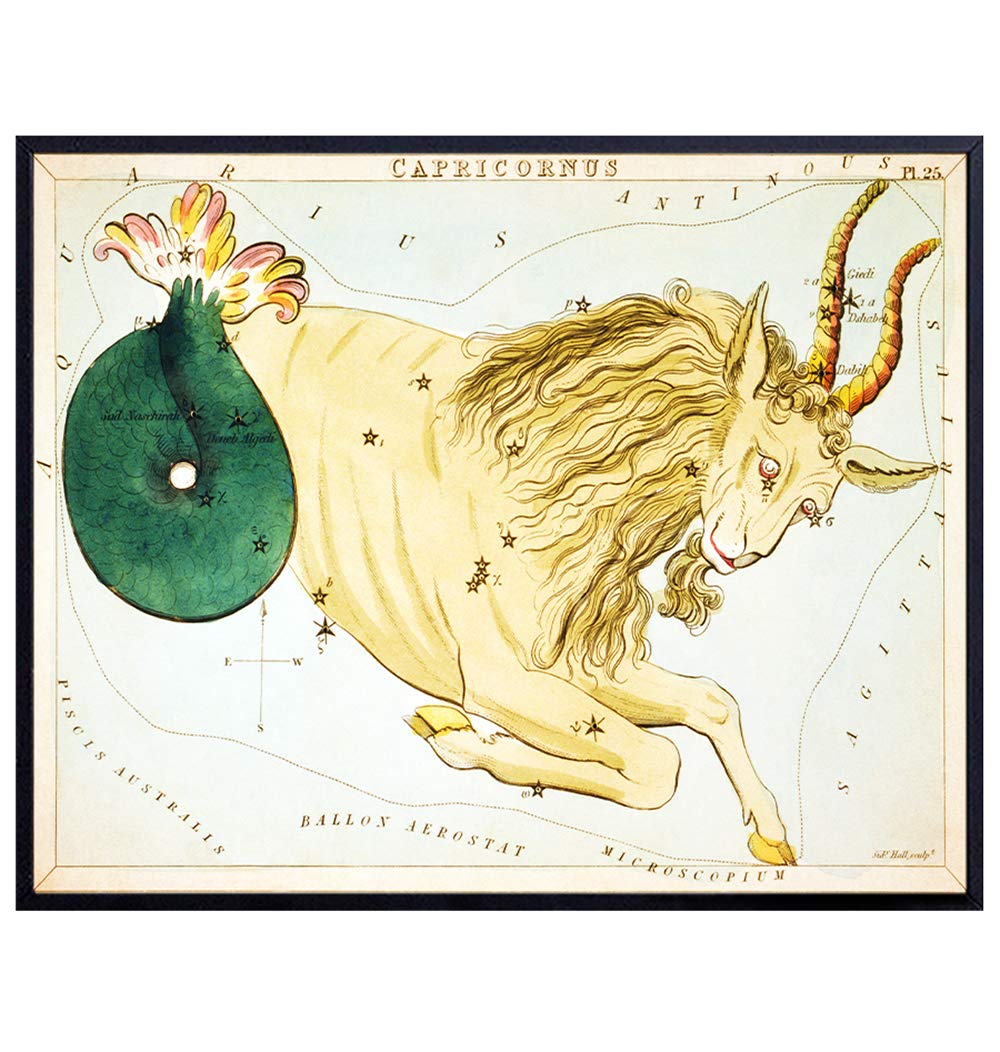 Vintage Capricorn Astrological Zodiac Chart - Great Gift and Chic Home Decor - Stars - Ready to Frame (8x10) Photo