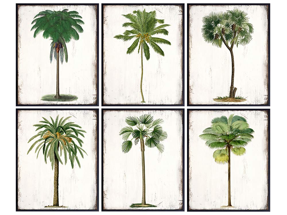 Palm Tree Decor - Tropical Wall Decor - Rustic Vintage Botanical Prints Wall Collage - Hawaiian Wall Art - Tropical Decorations - Beach House Decor - Coconut Palm Trees - Sign Set Art Prints -Unframed