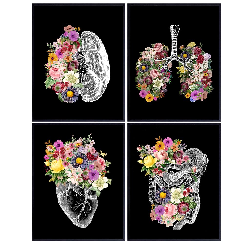 Human anatomy Decoration LARGE 11x14 - Vintage Flower Organs Wall Art for Hospital, Doctor, Nurse - Heart, Lungs, Brain Anatomy Decor - ER Nurse Gifts Poster - Gothic Decor - Physician Assistant Gift